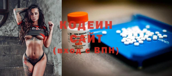 дживик Заводоуковск