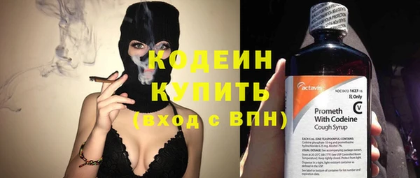 сатива Ельня