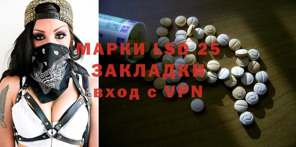 сатива Ельня