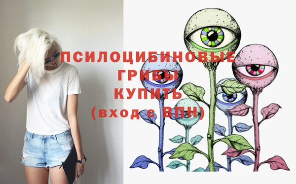 дживик Заводоуковск