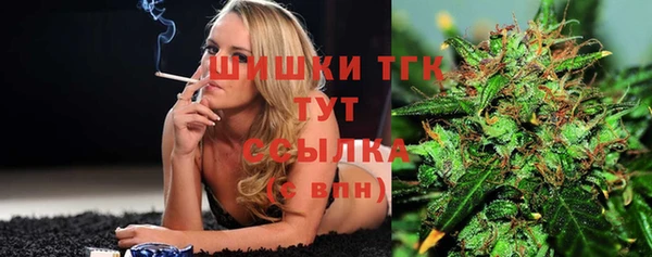 дживик Заводоуковск