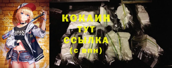 дживик Заводоуковск