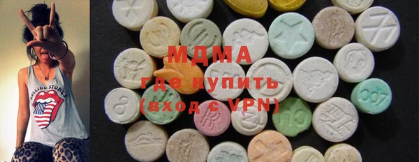 сатива Ельня