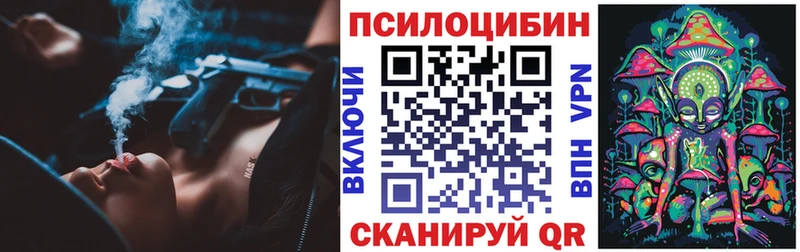наркота  Ельня  Галлюциногенные грибы Psilocybe 