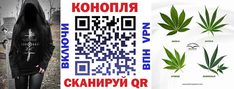 цена наркотик  Ельня  Каннабис VHQ 